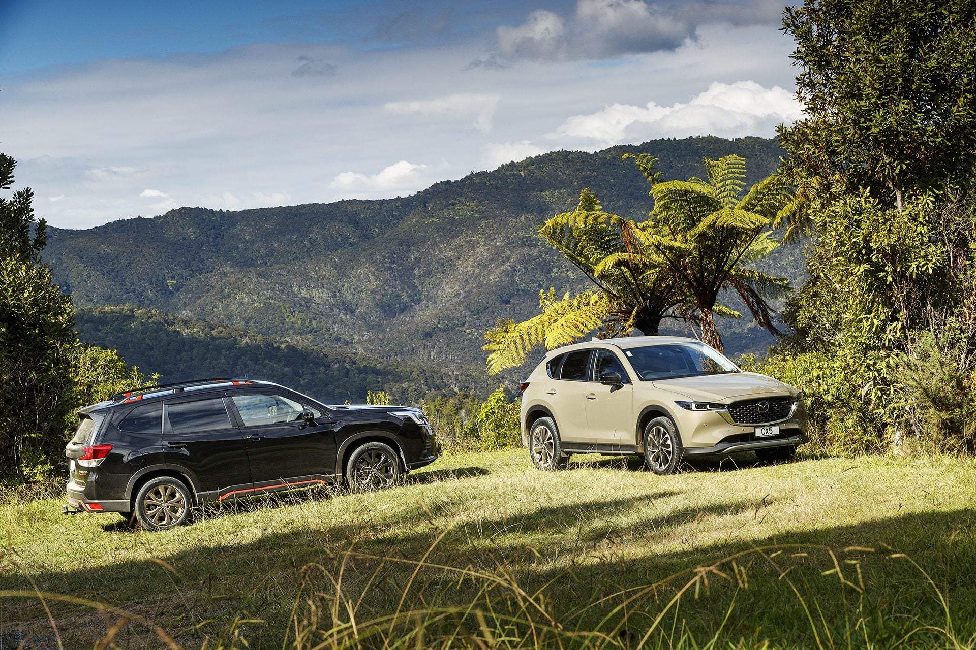 Mazda CX-5 Activ vs Subaru Forester X-Sport on hill overlooking bush