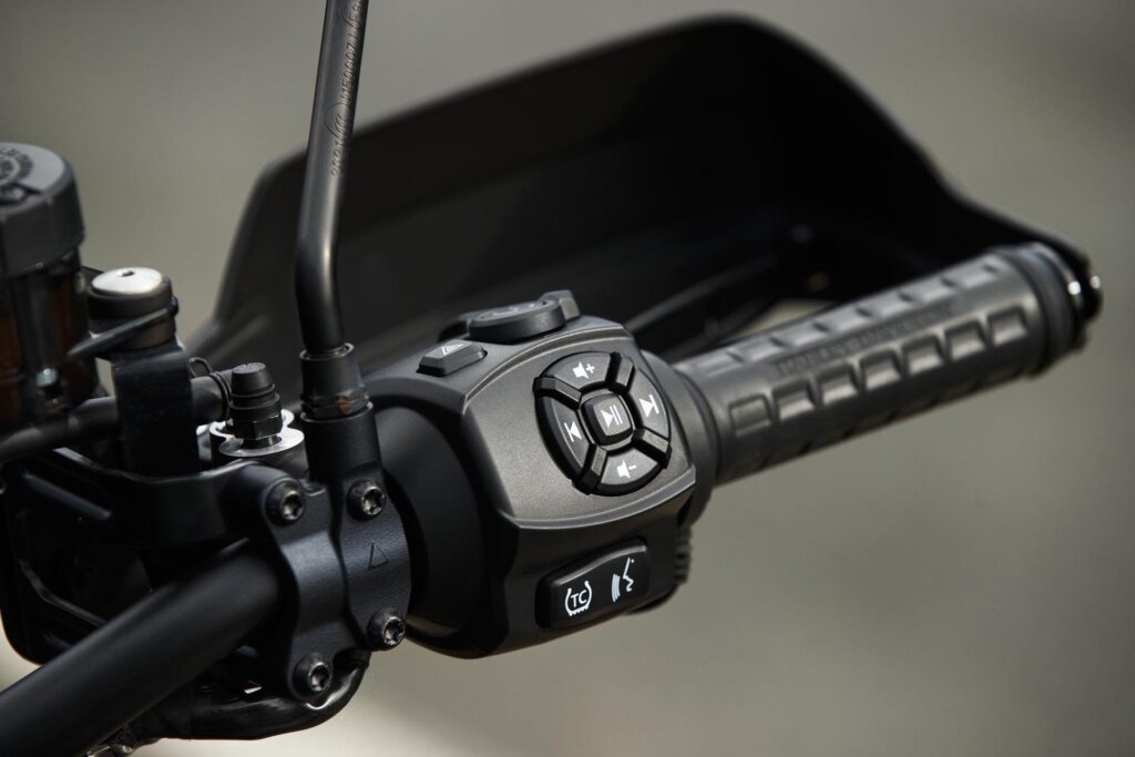 2022 Harley-Davidson Pan America grip