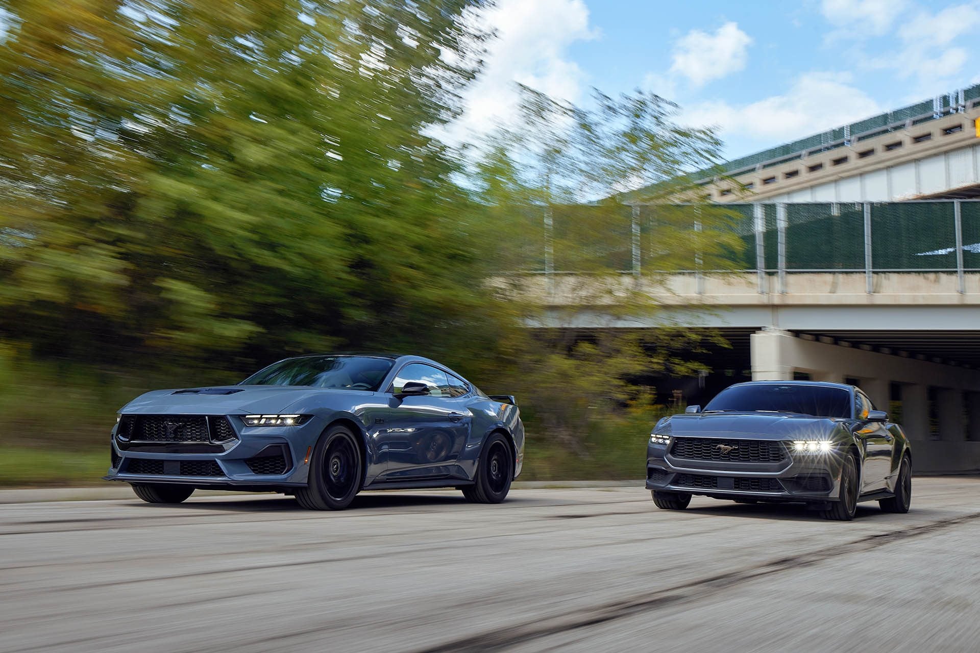 Ford Mustangs racing on road