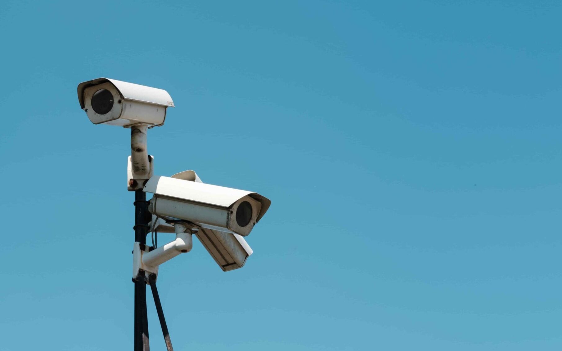 Security cameras looking down by tree