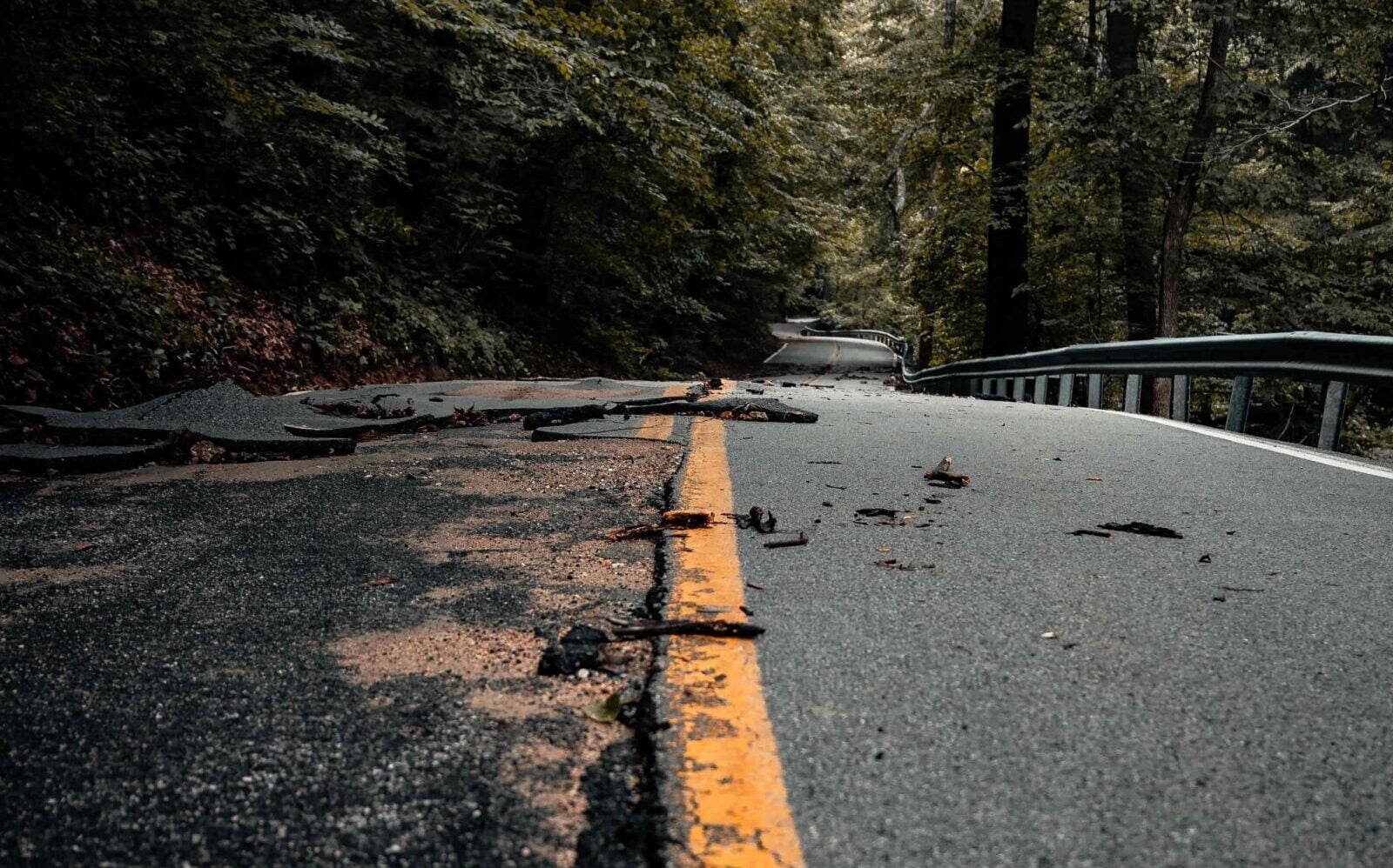 Potholed road through trees