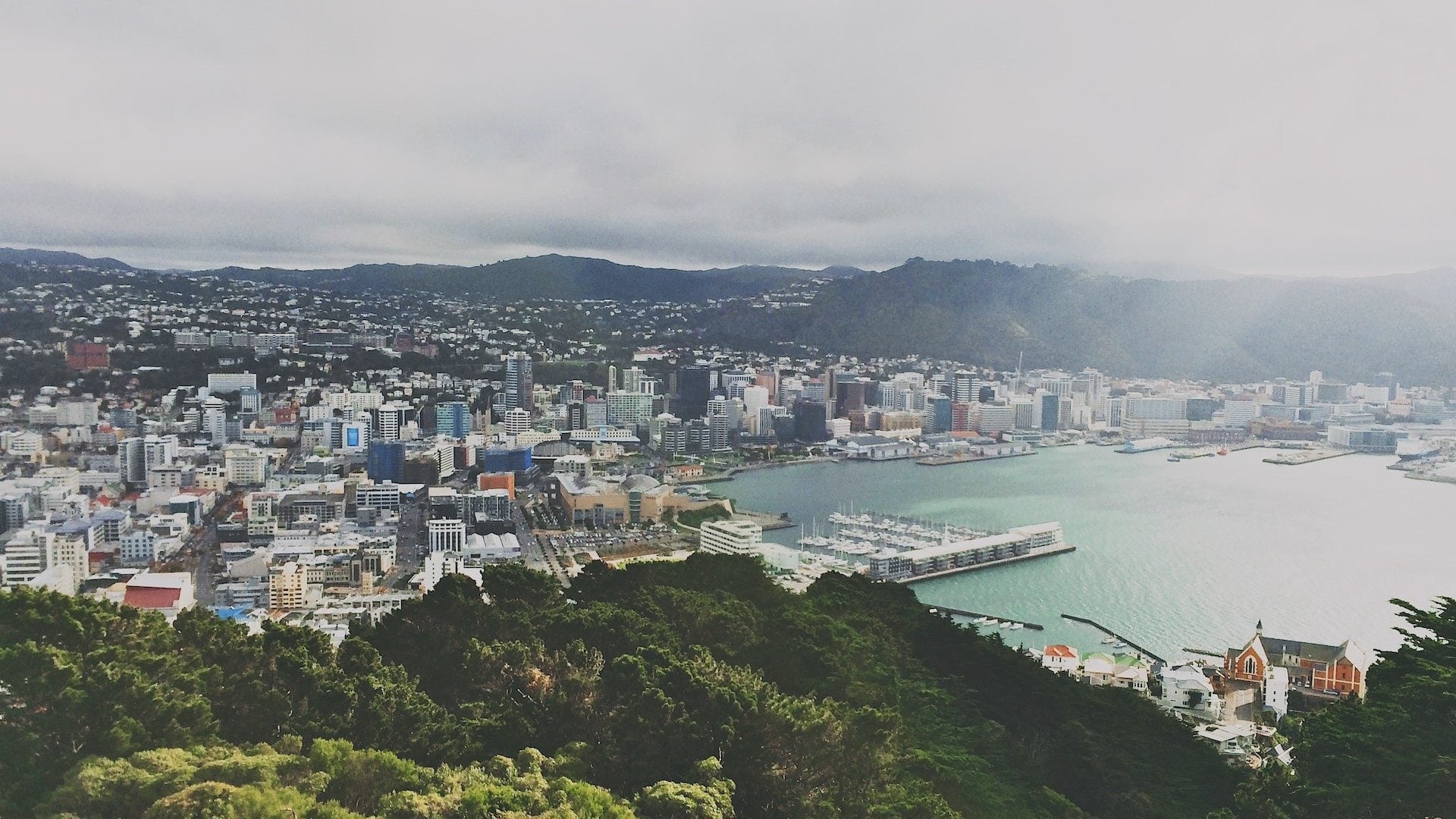 Wellington city and harbour