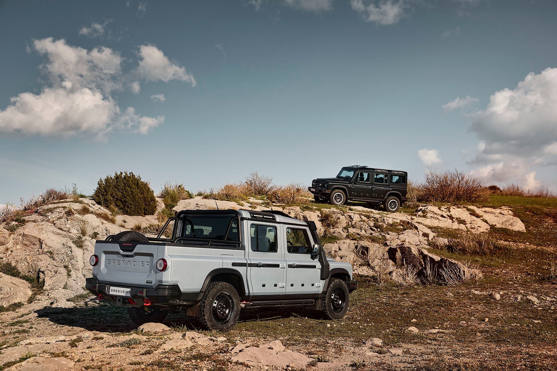 Grenadiers in the wild.