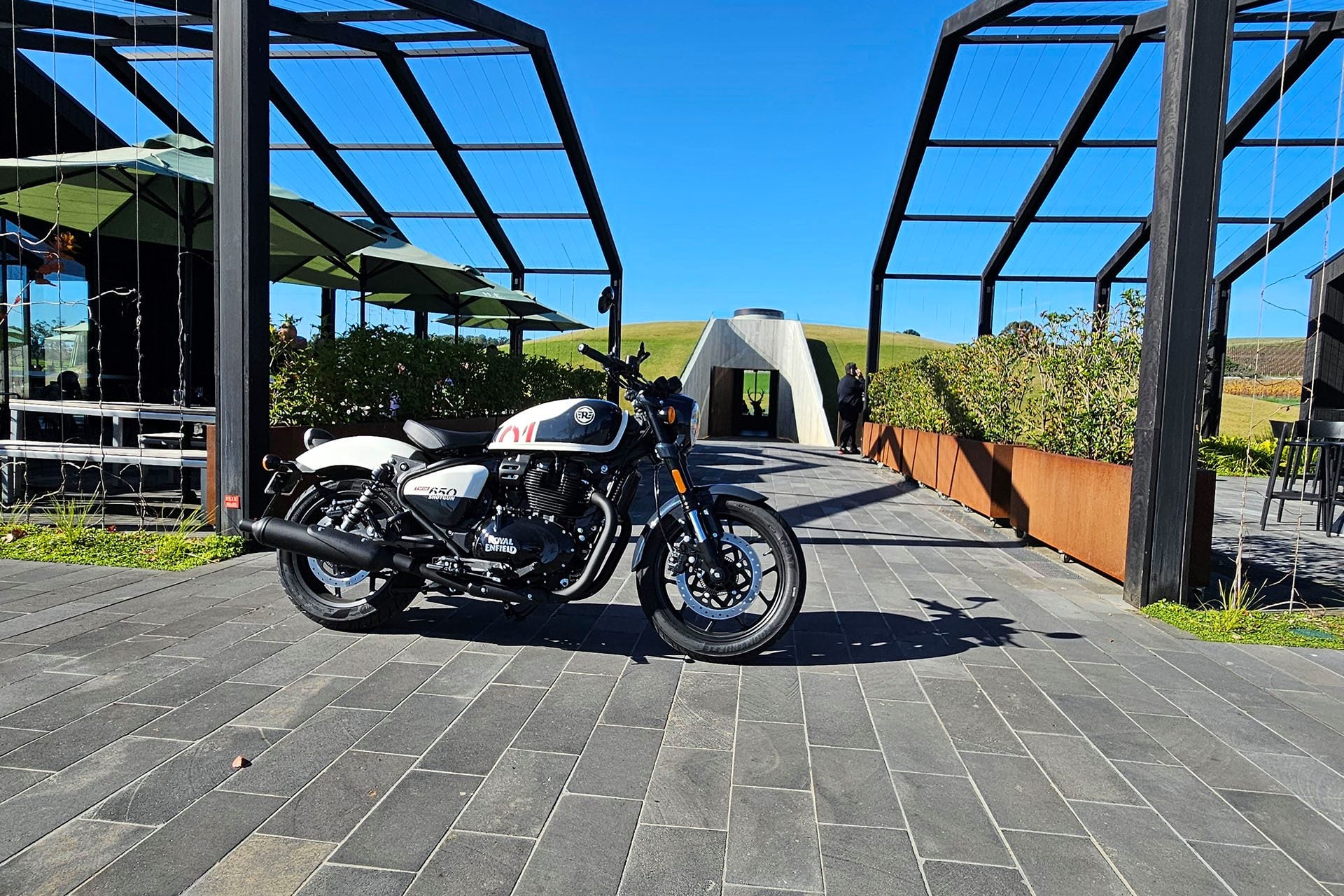 Resting quietly after a long hard ride in the Australian wilderness.