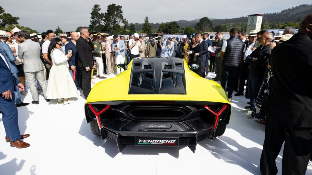 A seriously muscular tail for the Fenomeno1. All business.