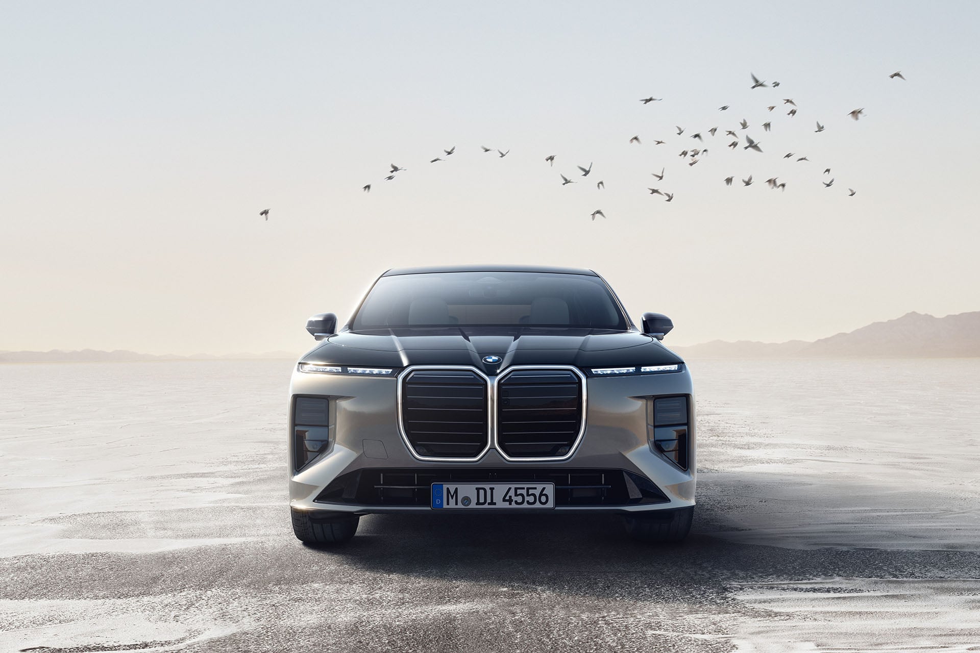 BMW's big grille scares the birds