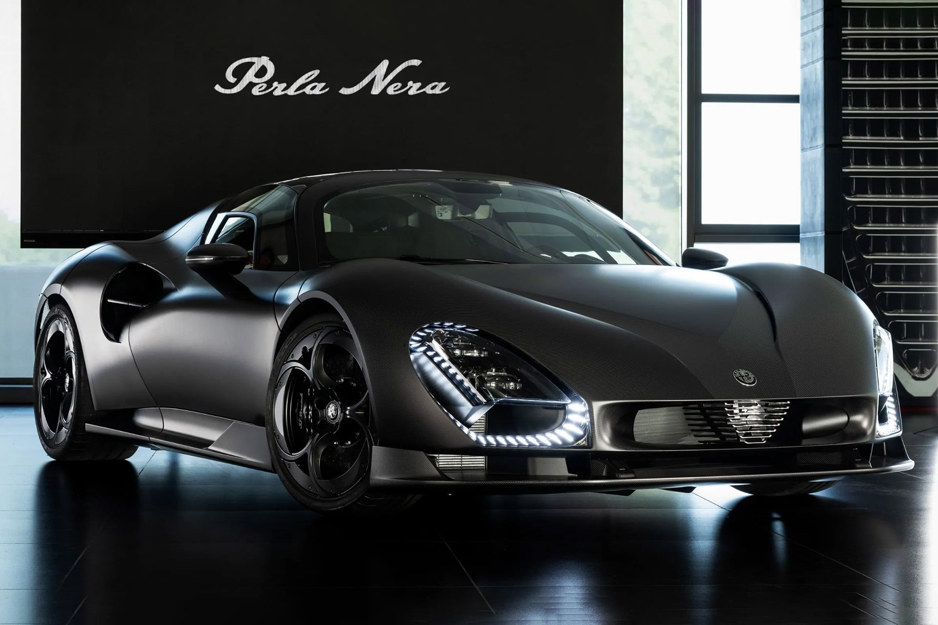 Alfa in black on black floor