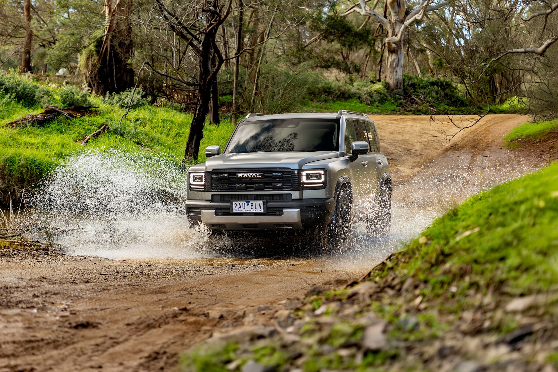 H7 splashing in water