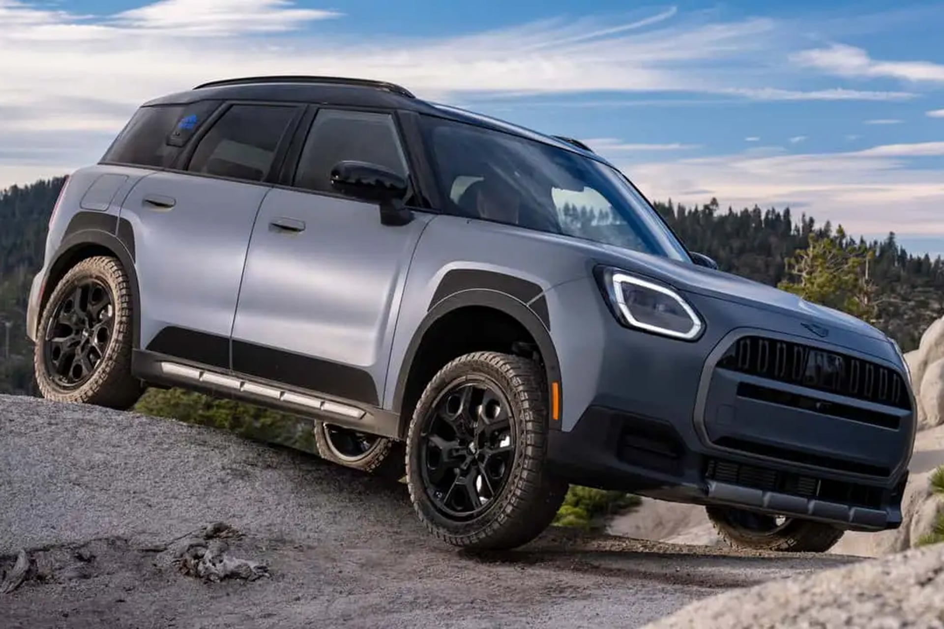 A silverish Countryman on grey boulders