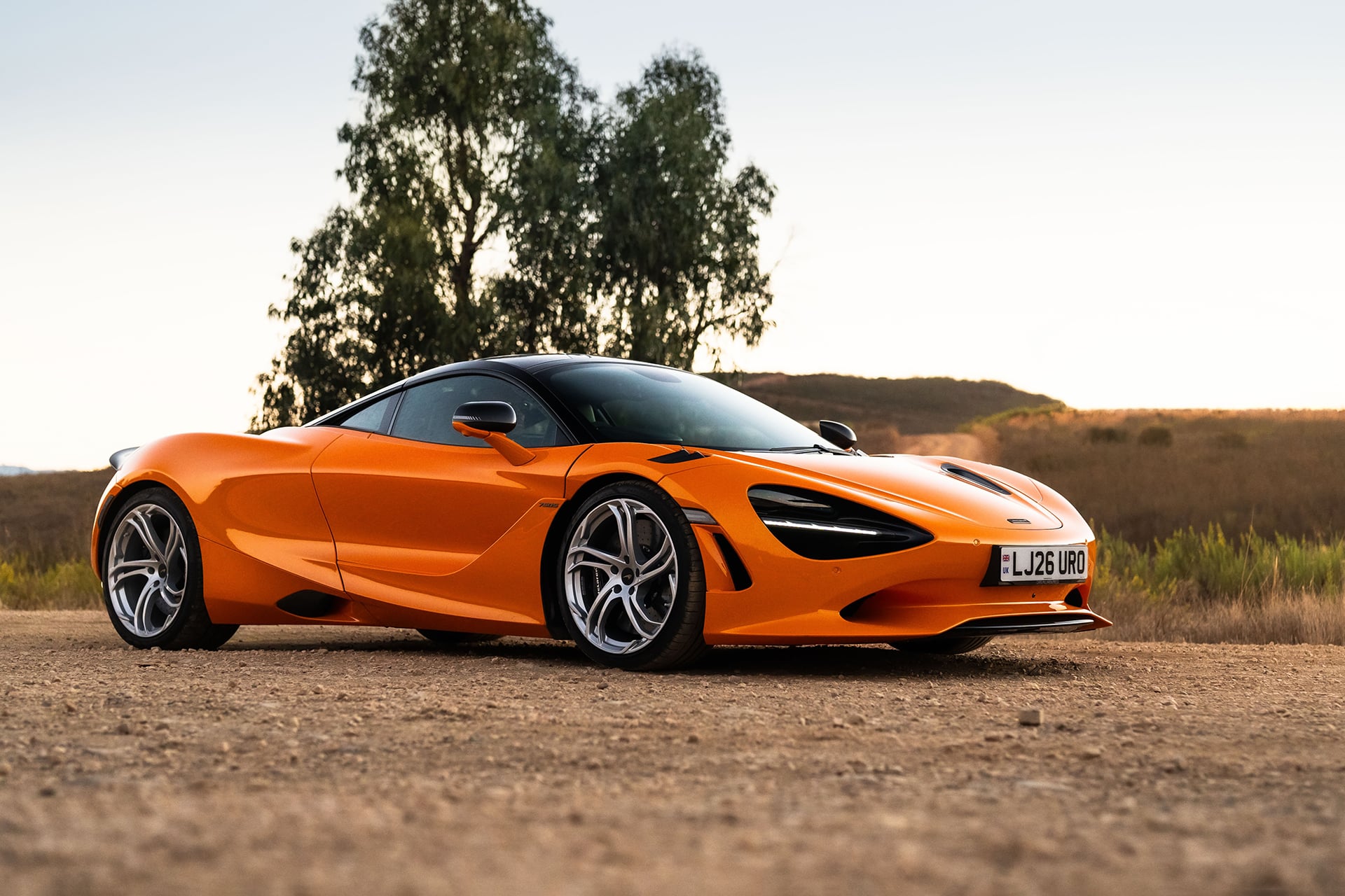 orange 750S in the setting sun next to a treee