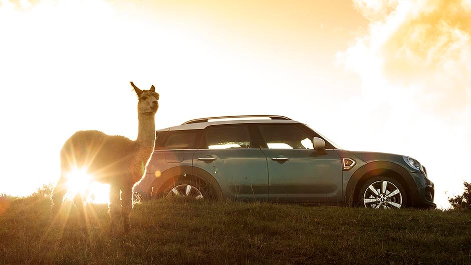 2017 Mini Cooper S Countryman with alpaca in foreground