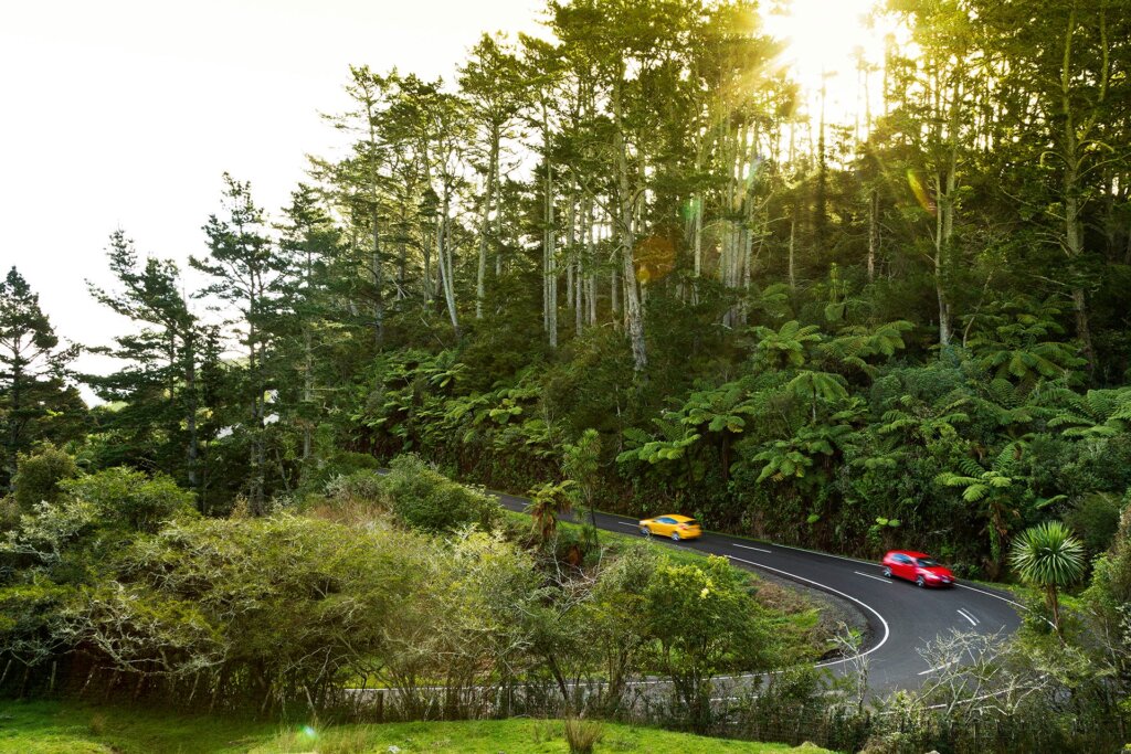 2013 VW Golf GTI vs Ford Focus ST driving through bush