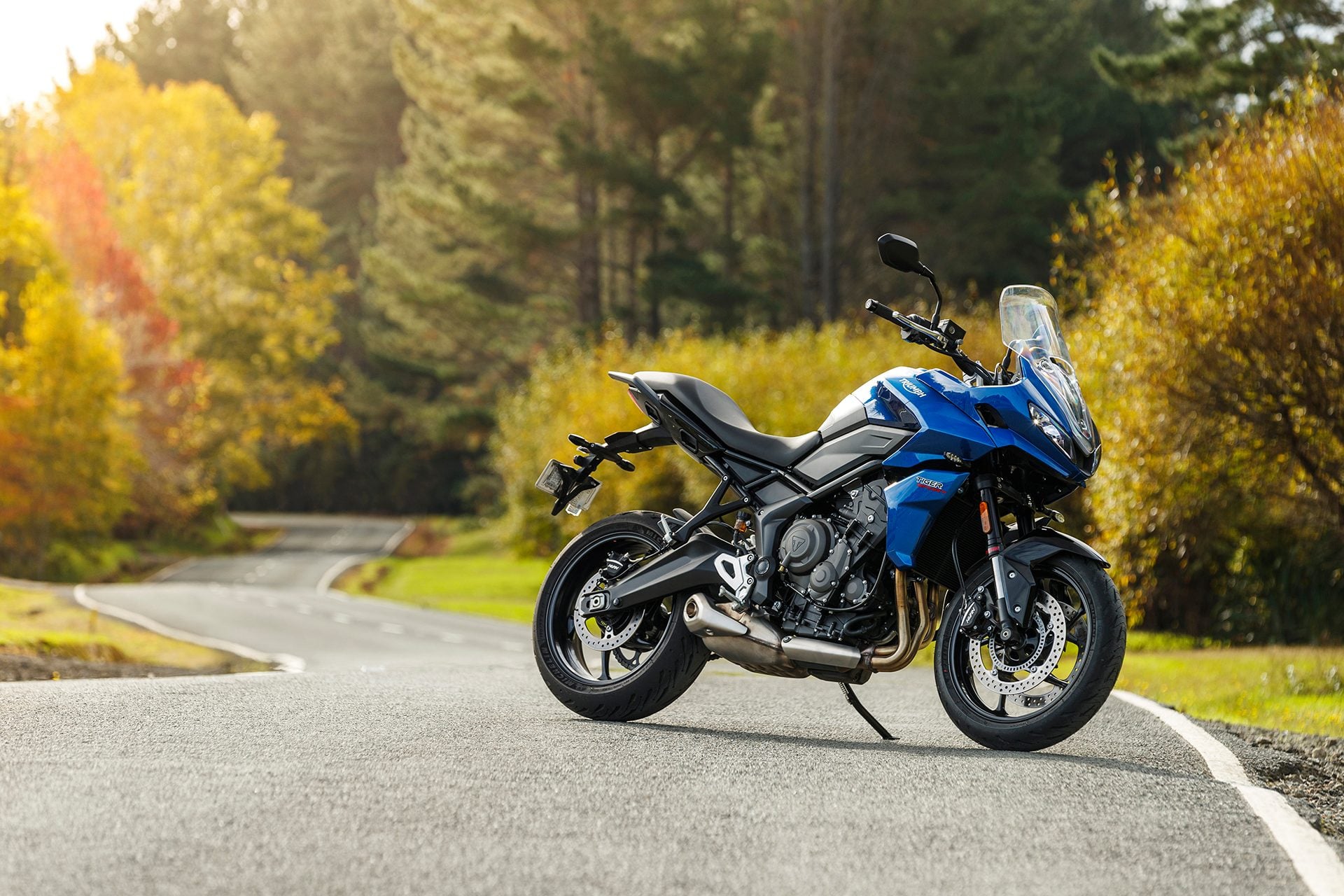 Triump Tiger Sport 660 LAMS front static