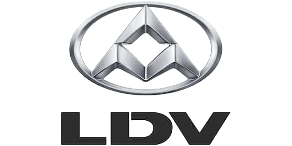 LDV V80