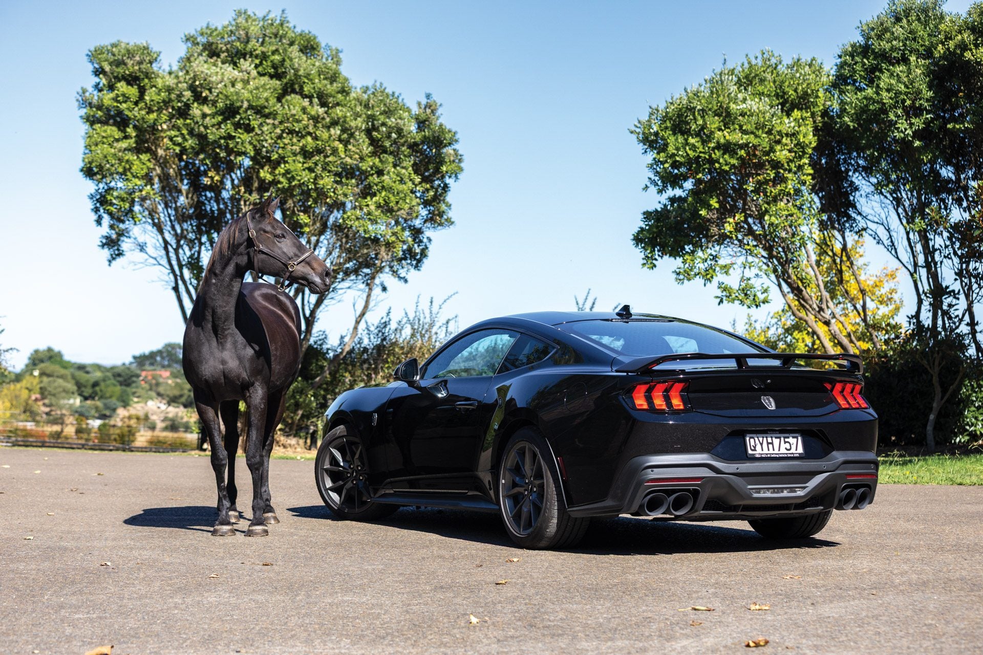 Ford Mustang Dark Horse Roars Back for 2026: A Deep Dive into the Return of an Icon
