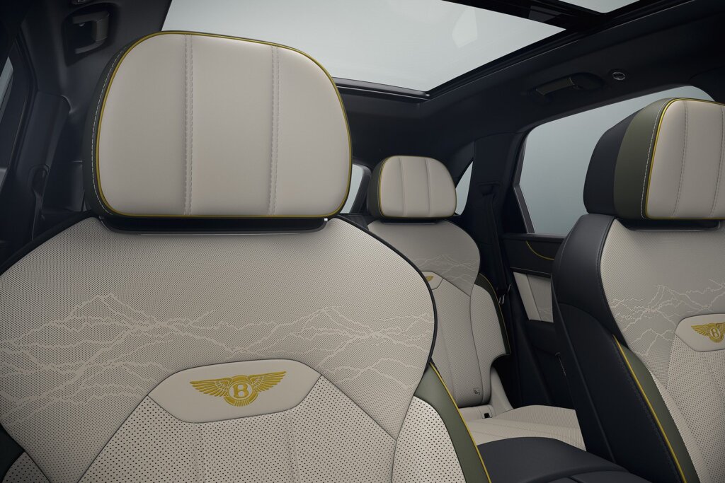 Mountain scenes in relief, as it were.