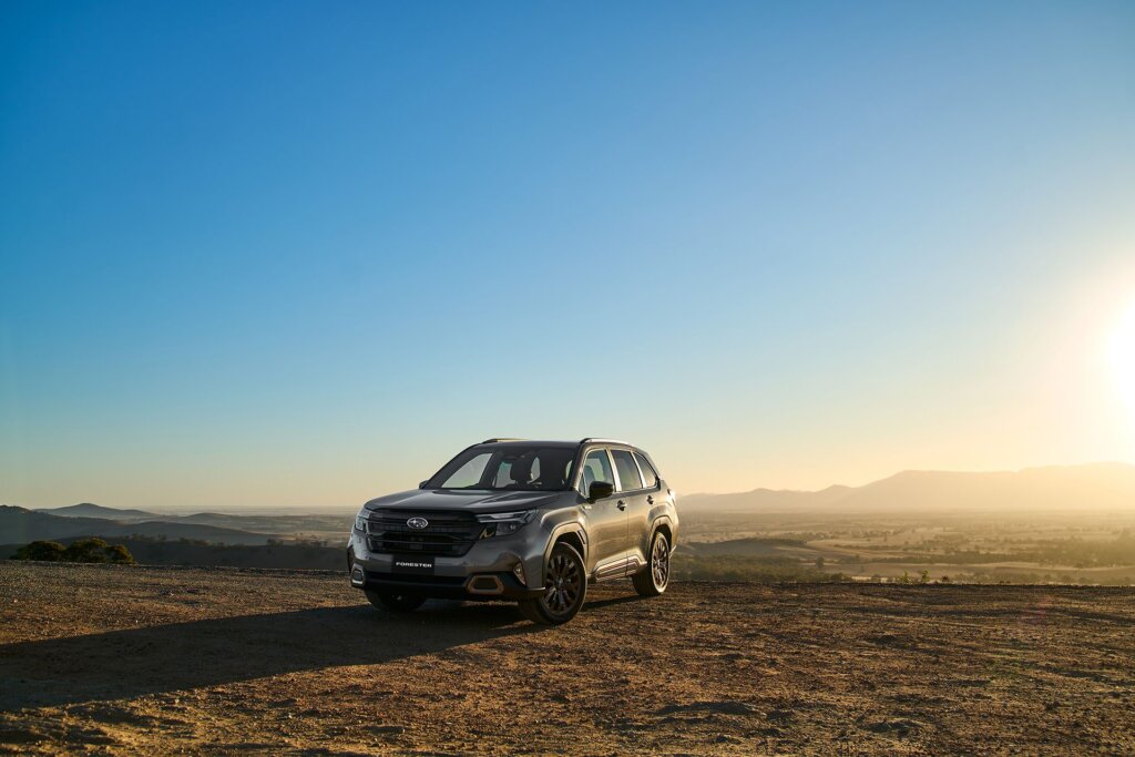 Forester at the break of dawn.