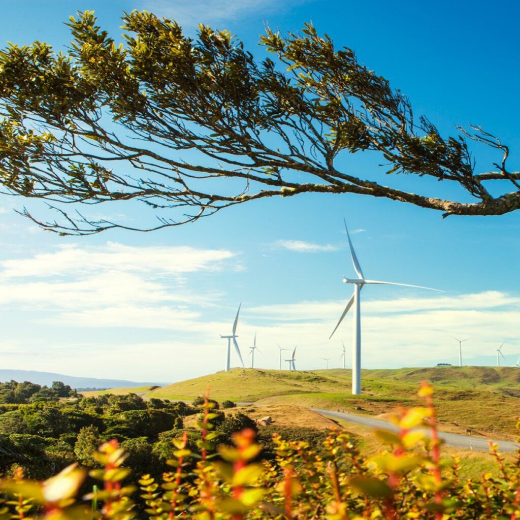 This is a large part of what Meridian Energy is all about.