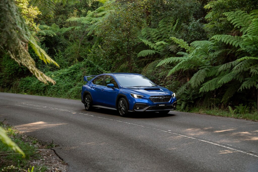 Here comes one now, hammering through the forest.