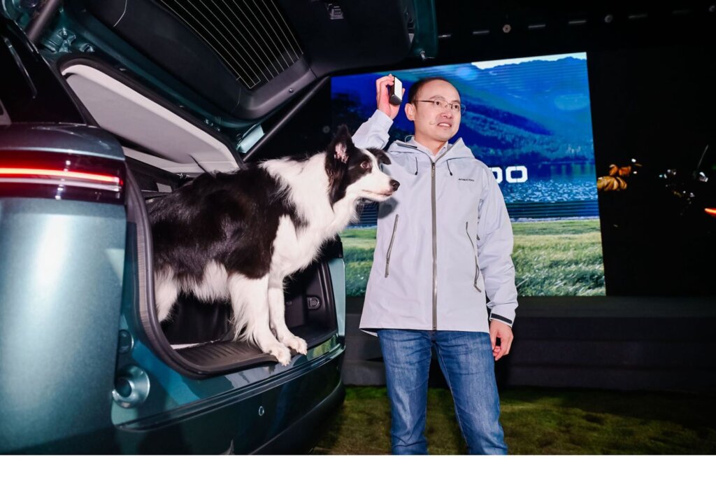 Can be set up for dogs in the luggage area.