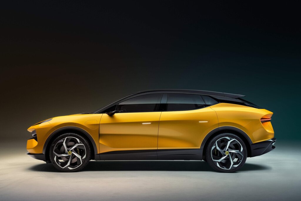 Eletre in profile. Some of the cues will be similar.