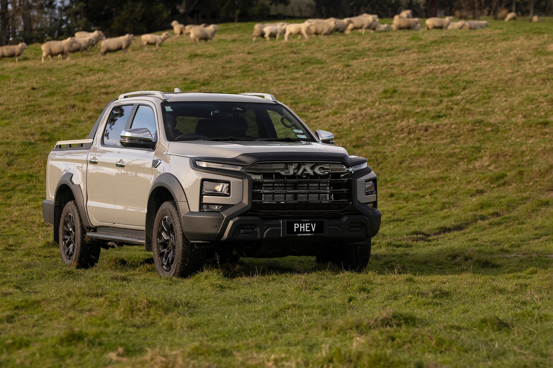 Grey T9 PHEV in a field