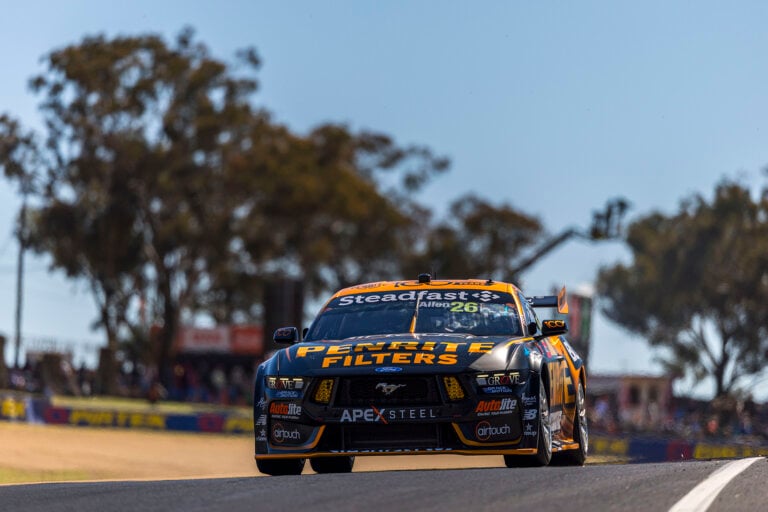 Mustang on track with gum tree in background