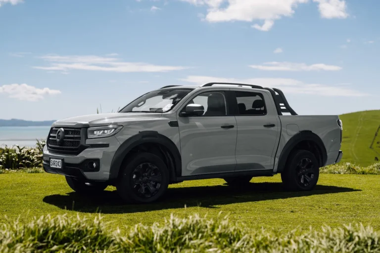 Grey GWM Cannon Hi4-T PHEV ute parked on a grassy hilltop under blue sky